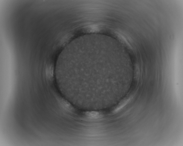 X0000111420230200907271149