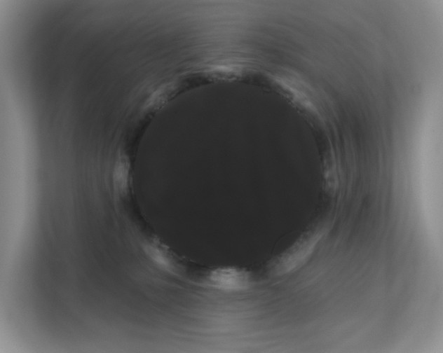 X0000111420231200907271149