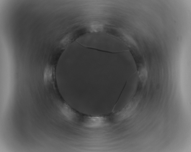 X0000111420233200907271149