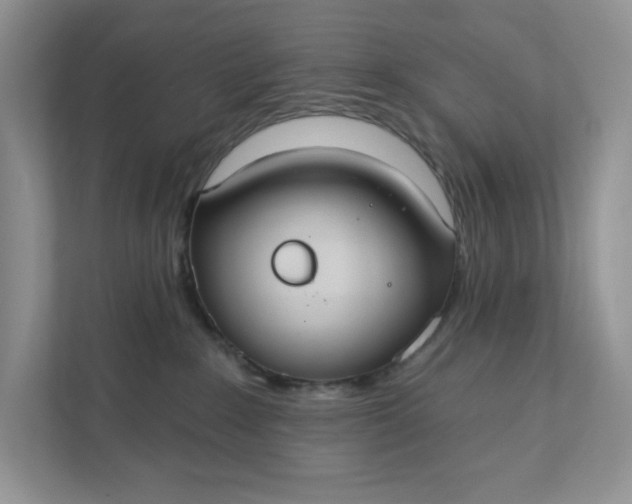 X0000111420235200907271149