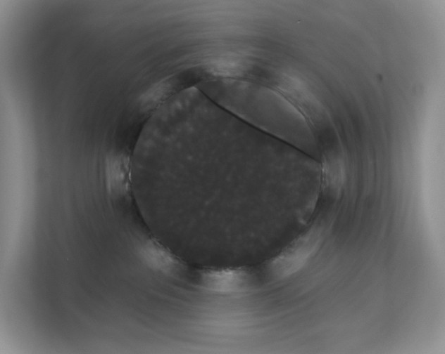 X0000111420237200907271149