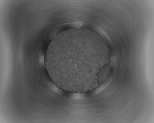 X0000111420238200907271149