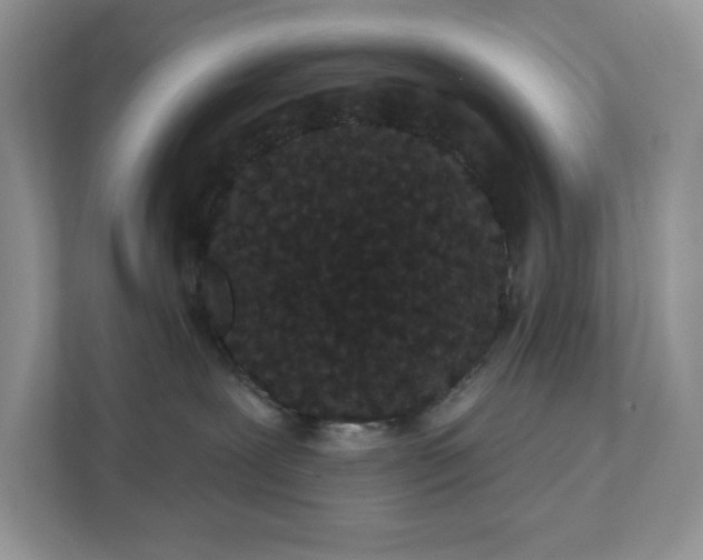 X0000111420239200907271149