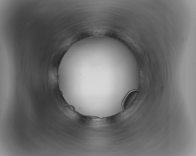 X0000111420240200907271149