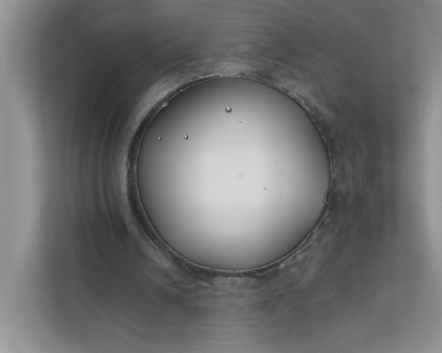 X0000111420242200907271149