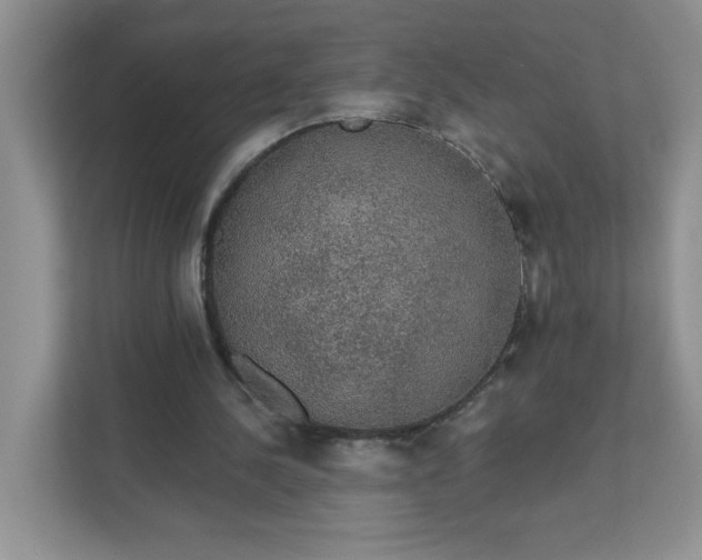 X0000111420244200907271149