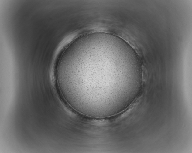 X0000111420245200907271149