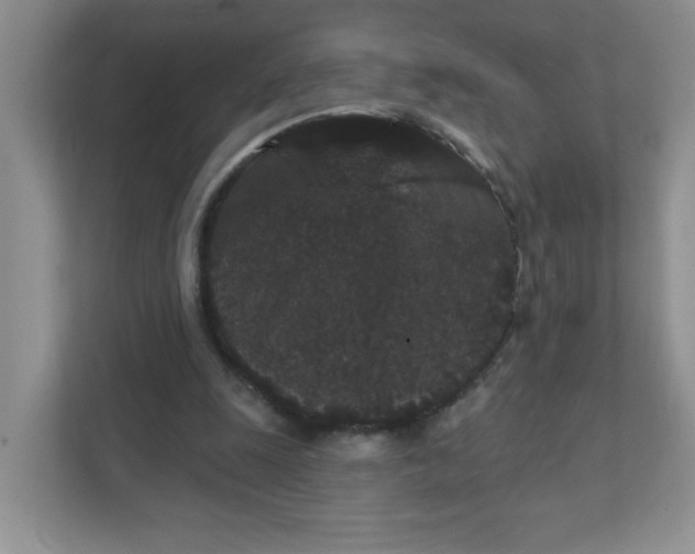 X0000111420247200907271149