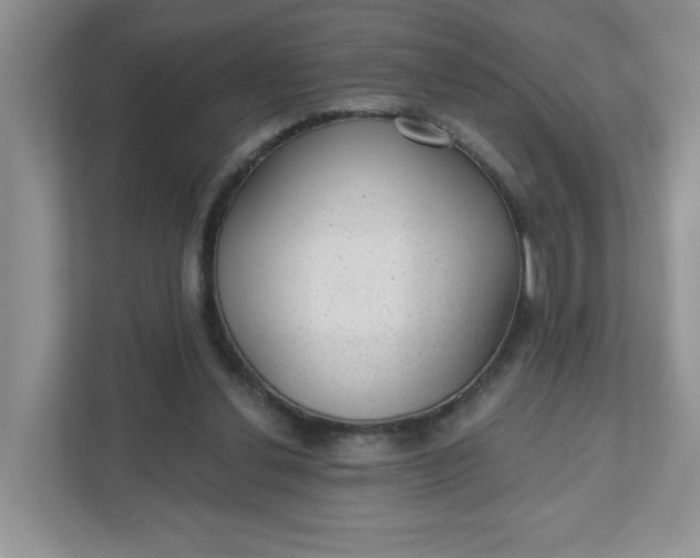 X0000111420252200907271149