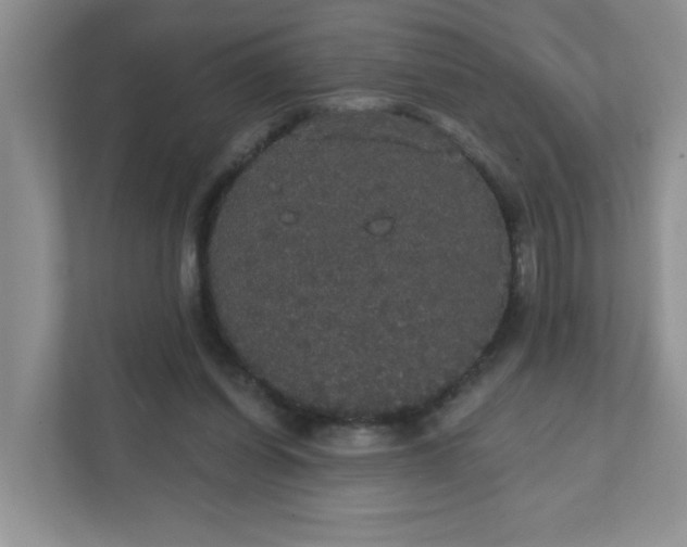 X0000111420254200907271149