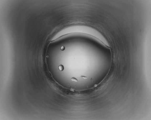 X0000111420256200907271149