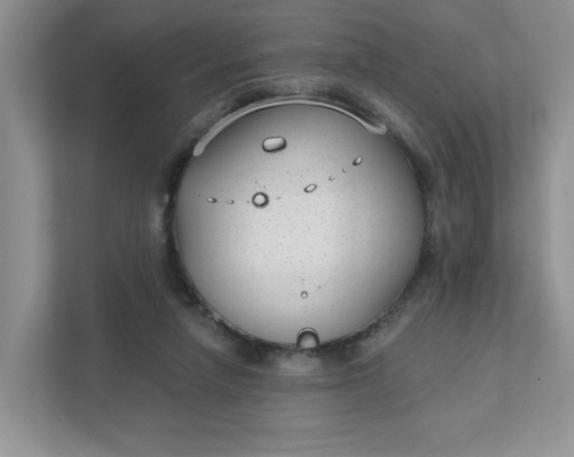 X0000111420258200907271149