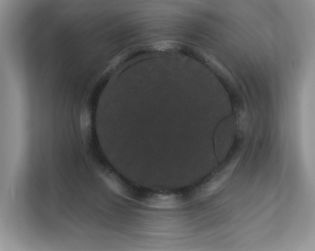 X0000111420260200907271149