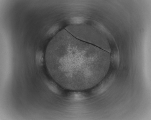 X0000111420264200907271149