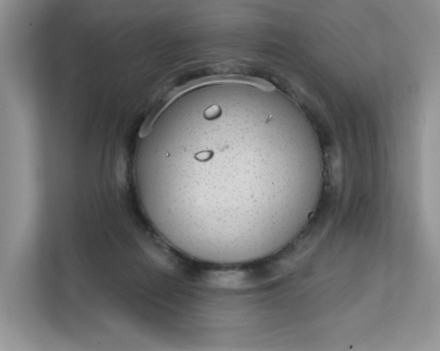 X0000111420266200907271149