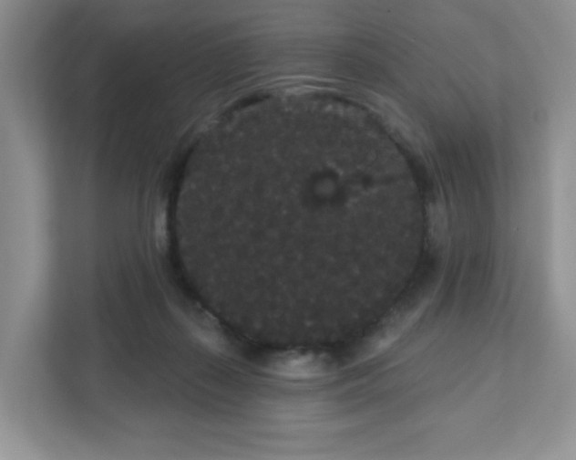 X0000111420267200907271149