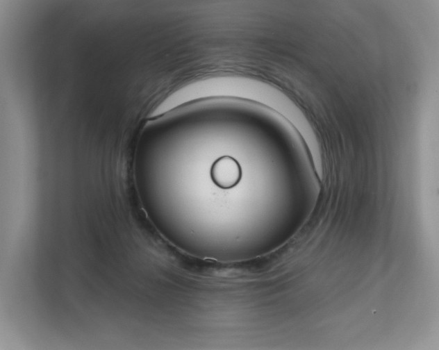 X0000111420268200907271149