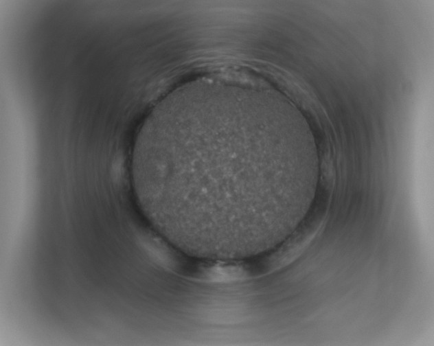 X0000111420270200907271149