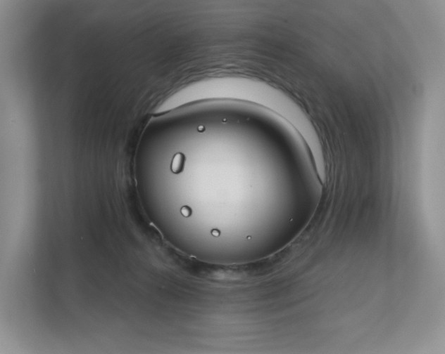 X0000111420272200907271149