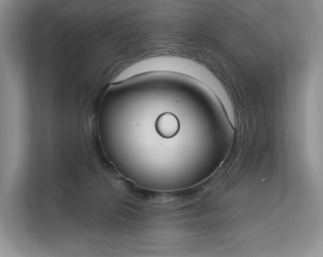 X0000111420276200907271149