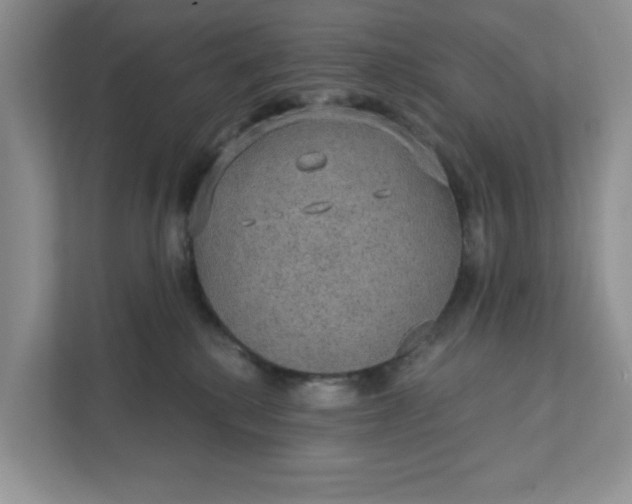 X0000111420280200907271149