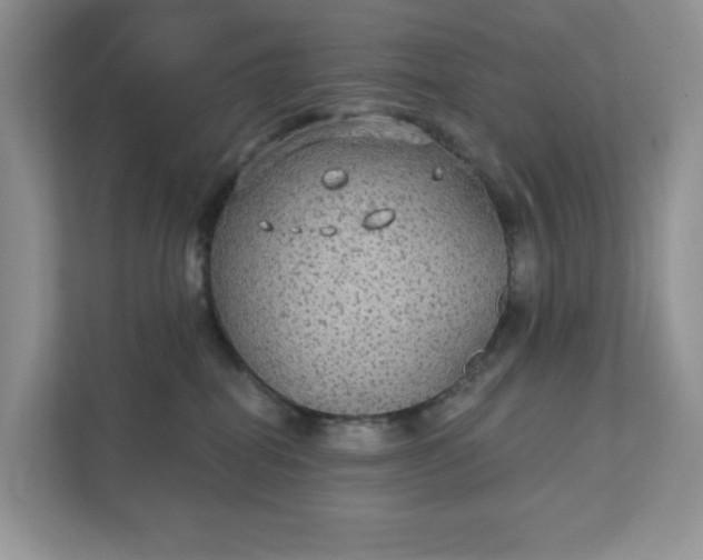 X0000111420282200907271149