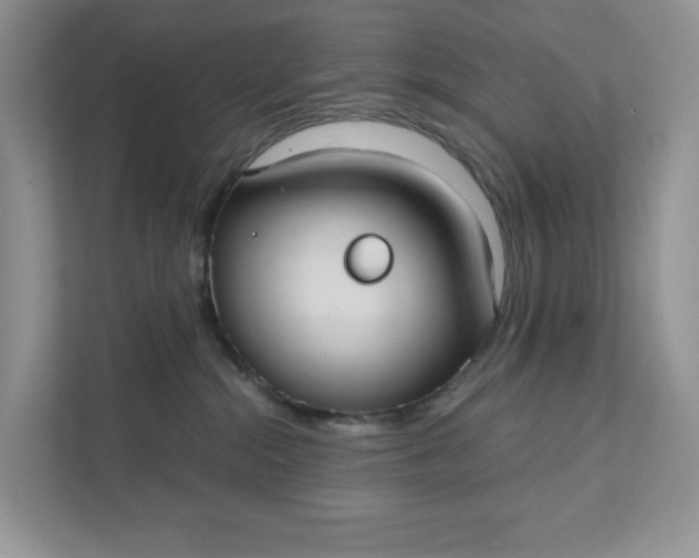 X0000111420284200907271149