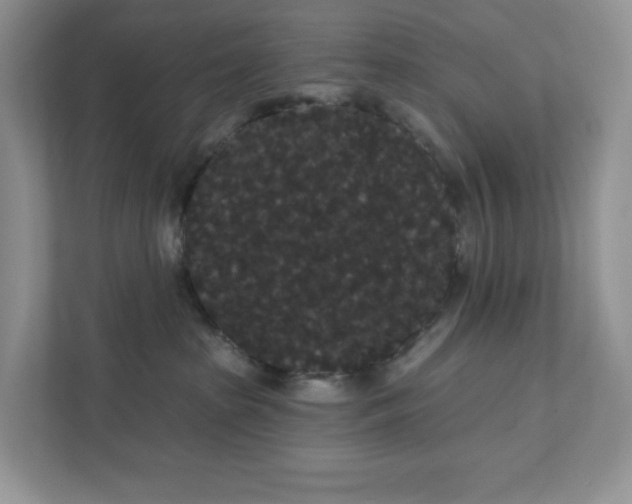 X0000111420285200907271149