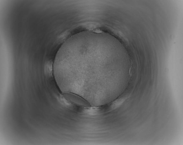 X0000111420288200907271149