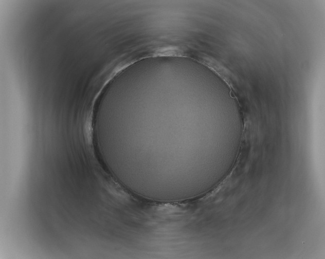 X0000111420290200907271149