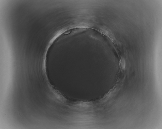 X0000111420292200907271149