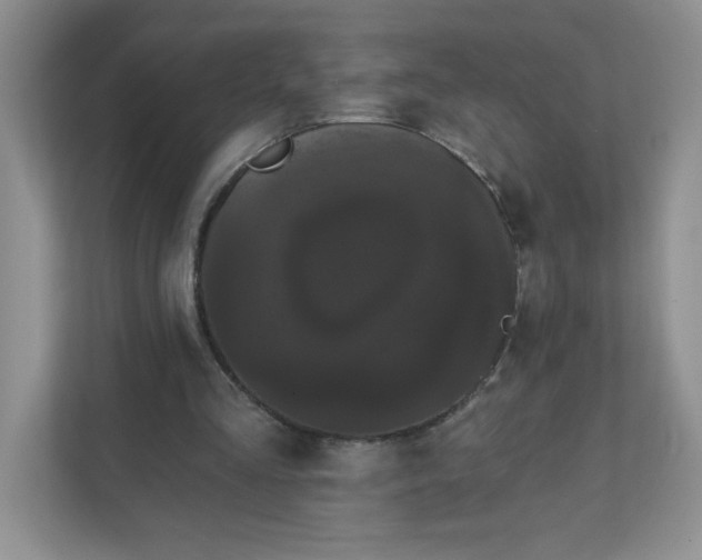 X0000111420293200907271149