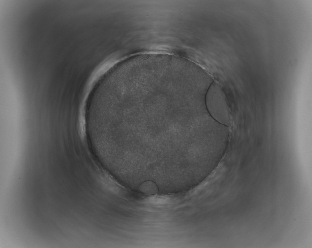 X0000111420294200907271149