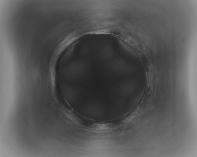 X0000111420295200907271149