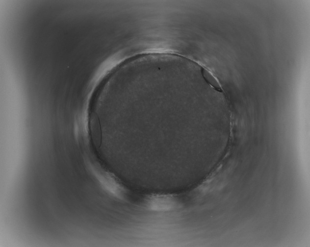 X0000111420296200907271149