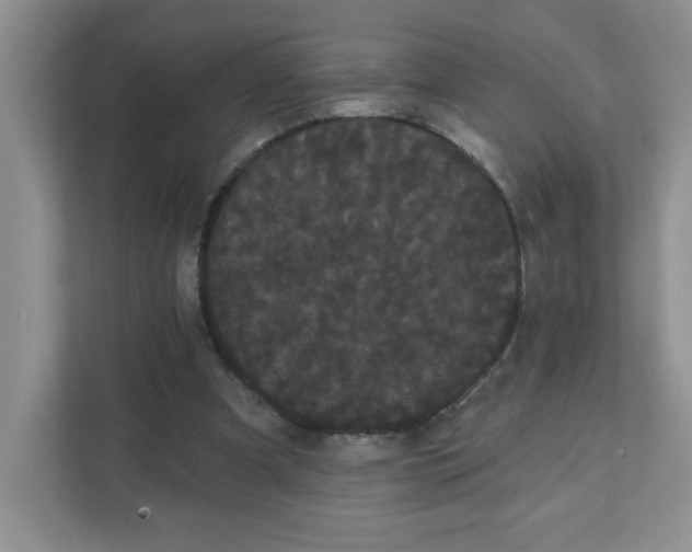 X0000111420297200907271149