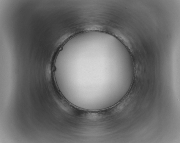 X0000111420298200907271149