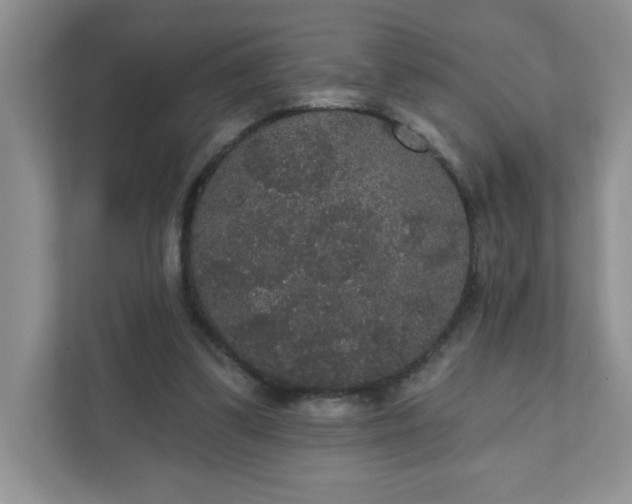 X0000111420299200907271149