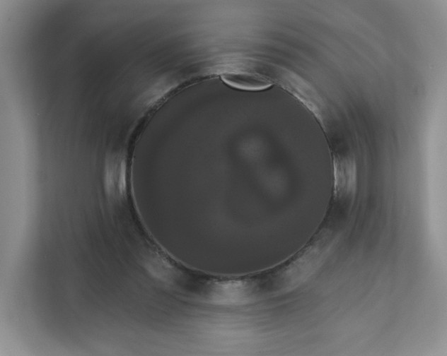 X0000111420301200907271149