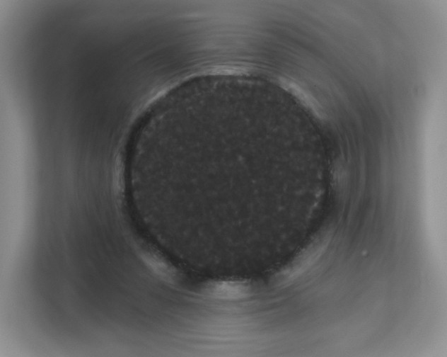 X0000111420303200907271148