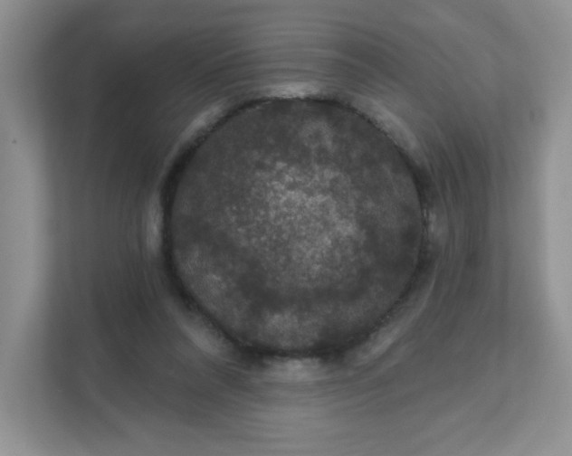 X0000111420304200907271148