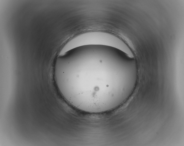 X0000111420305200907271148