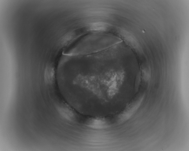 X0000111420308200907271148