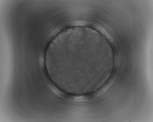 X0000111420309200907271148