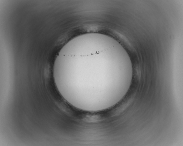 X0000111420311200907271148