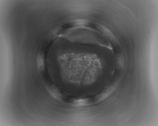 X0000111420312200907271148