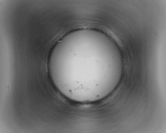 X0000111420313200907271148