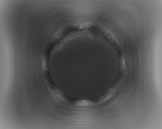 X0000111420316200907271148