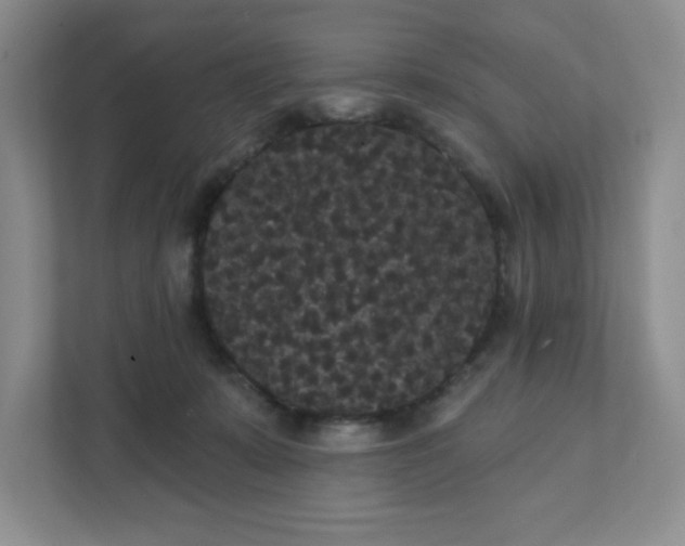 X0000111420319200907271148