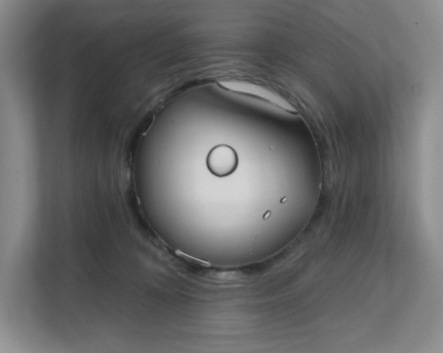 X0000111420324200907271148